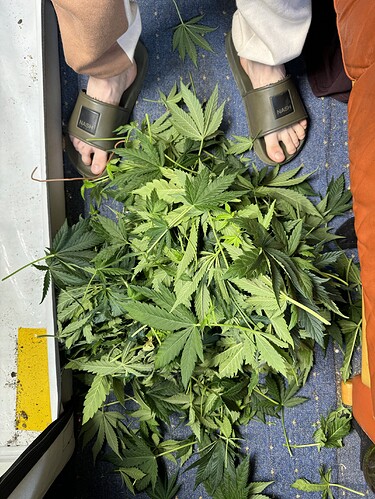 Growreport Bild 5