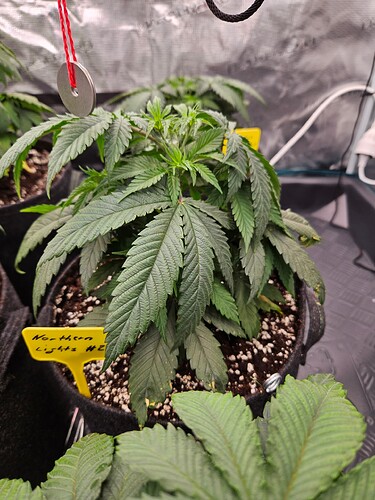 Growreport Bild 10