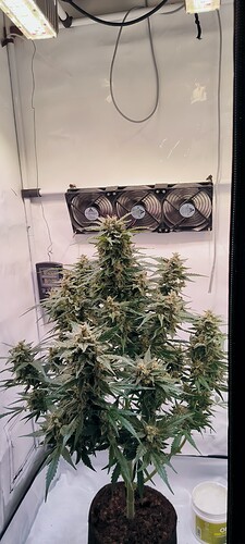 Growreport Bild 2