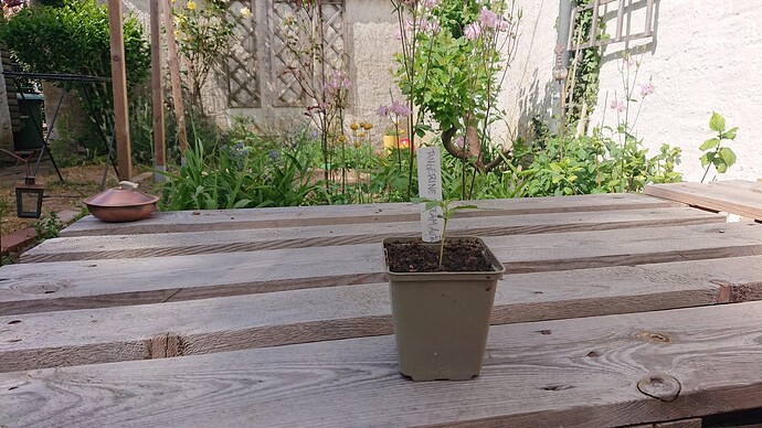 Growreport Bild 20
