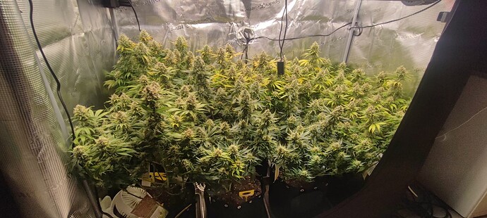 Growreport Bild 26