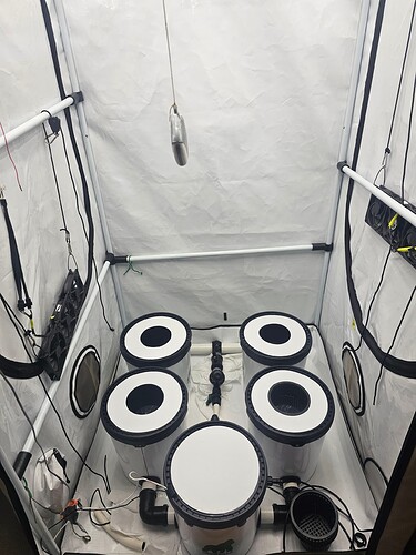 Growreport Bild 1