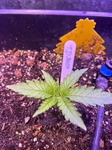 Growreport Bild 23