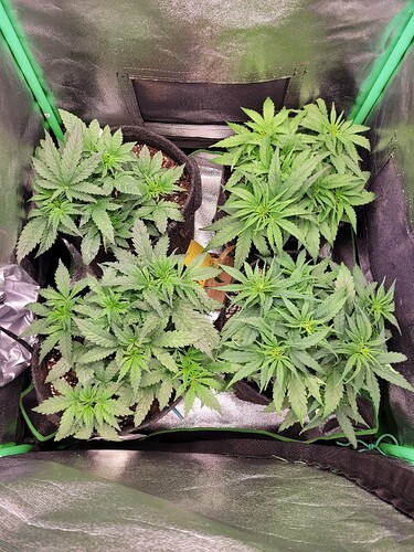 Growreport Bild 10