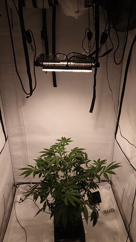 Growreport Bild 4