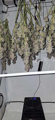 Growreport Bild 50