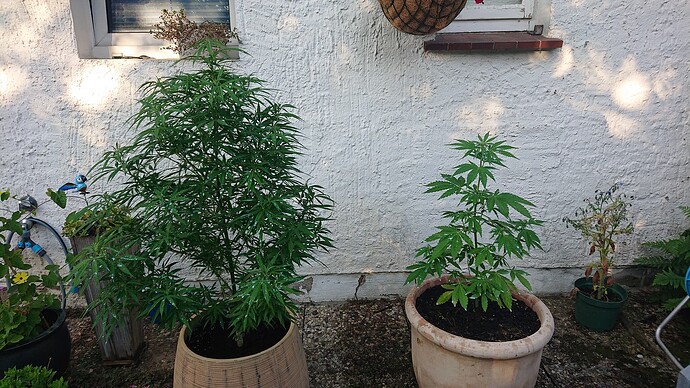 Growreport Bild 36