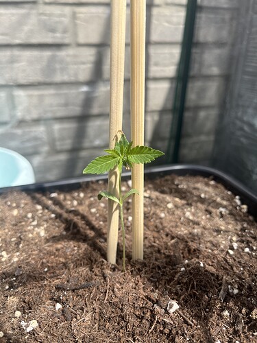 Growreport Bild 2