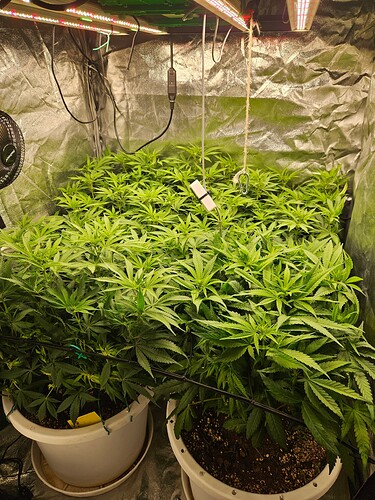 Growreport Bild 6