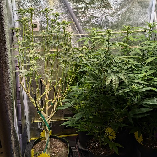 Growreport Bild 22