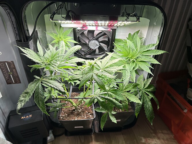 Growreport Bild 7