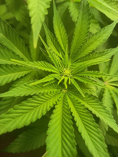 Growreport Bild 21