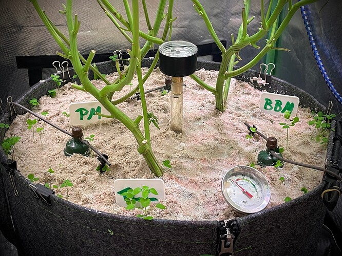 Growreport Bild 3