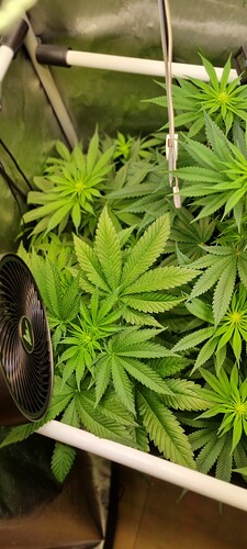 Growreport Bild 13