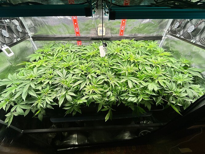 Growreport Bild 12