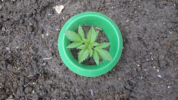 Growreport Bild 18