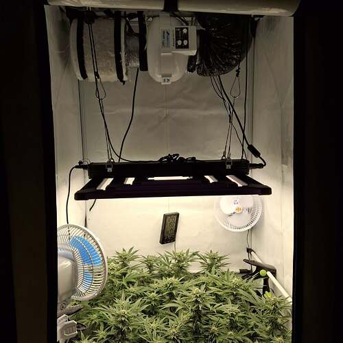 474919901_122166064796293599_8108595328816540163_n