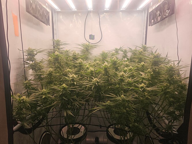 Growreport Bild 8