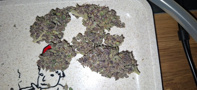 Growreport Bild 11