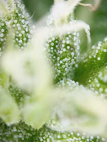 WhatsApp Bild 2024-10-17 um 17.25.06_cdc31836