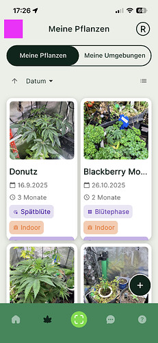 Growreport Bild 8