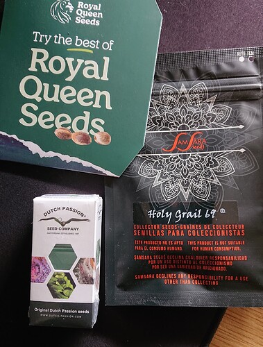 Growreport Bild 23