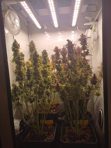 Growreport Bild 17