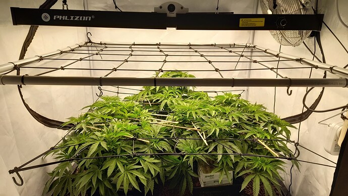 Growreport Bild 15