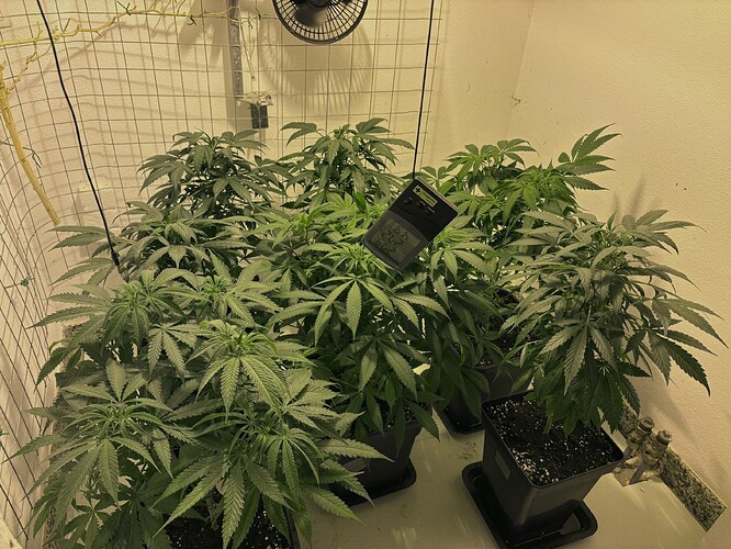 Growreport Bild 11