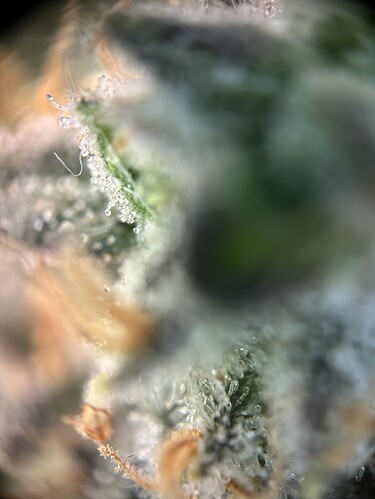 Growreport Bild 19