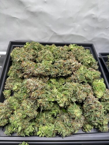 Growreport Bild 19