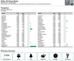 Growreport Bild 1
