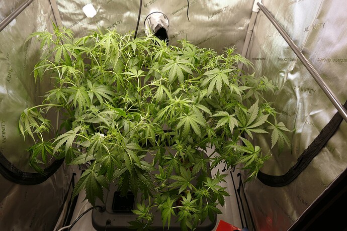 Growreport Bild 12