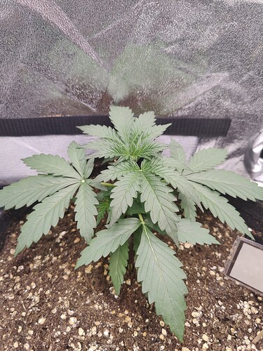 Growreport Bild 14