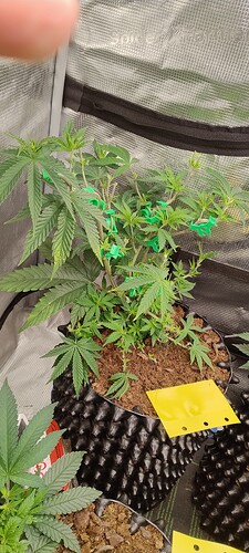 IMG_20251011_105614404