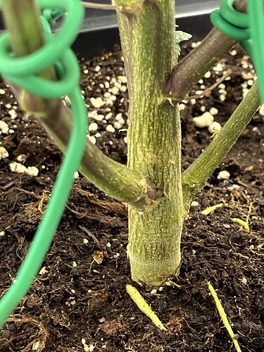 Growreport Bild 21