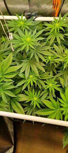 Growreport Bild 14