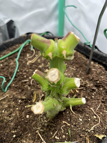 260DDAB8-DE21-4B87-99B3-0F580927C393