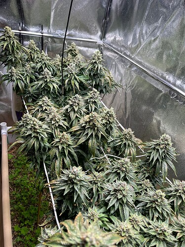Growreport Bild 11