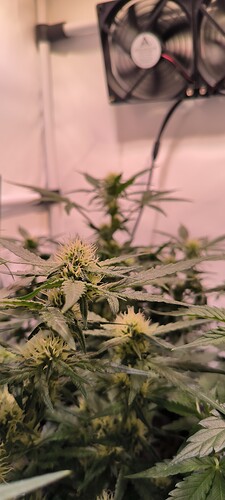 Growreport Bild 10