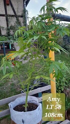 Growreport Bild 2