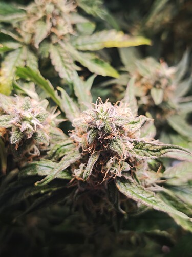 MVIMG_20251121_193154