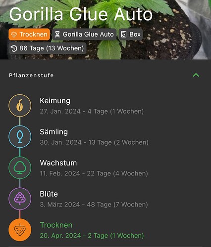 Growreport Bild 1