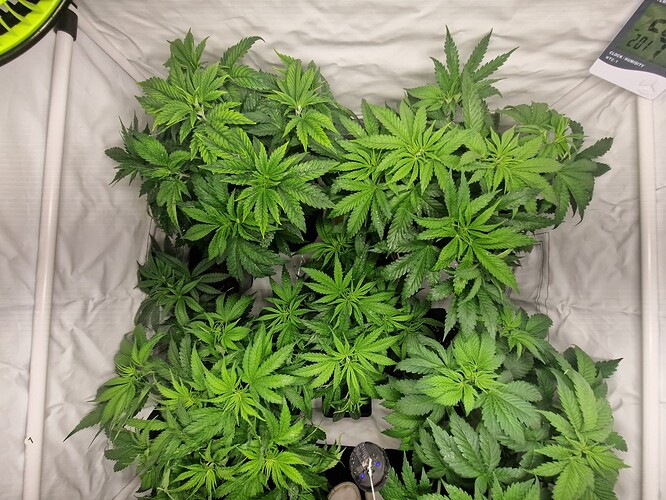 Growreport Bild 12
