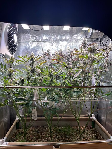 Growreport Bild 5