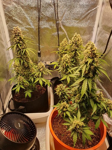 Growreport Bild 16
