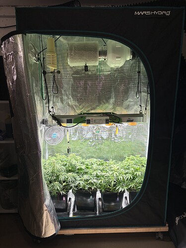 Growreport Bild 10
