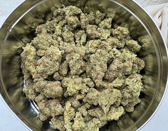Growreport Bild 66