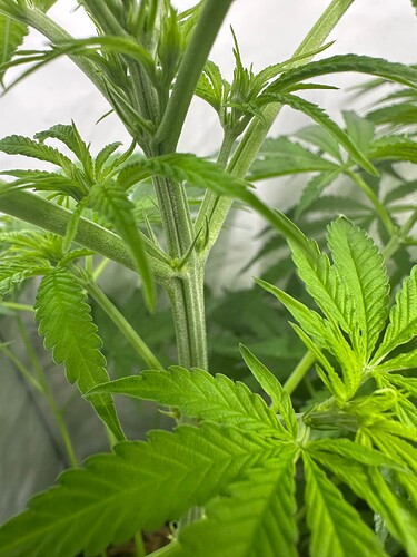 Growreport Bild 5