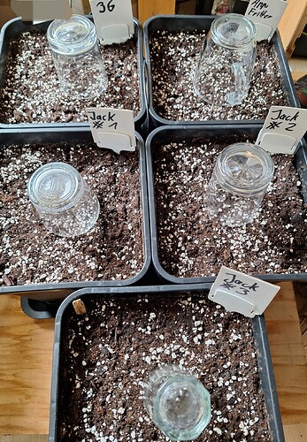 Growreport Bild 3